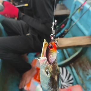 Micro Jig Bawal Viral Mata Kail Assist Hook Glow in The Dark