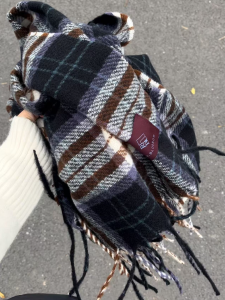 Korean Style Thickened Woolen Plaid Scarf Womens Winter Warmth Neck Warmer Long Rectangle Fashion Accessory for Youth Students