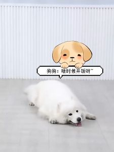 ของเล่นสุนัข ของเล่นหมาแมว ฝึกทักษะ ของเล่นฝึกIQ ใส่อาหารได้ ของเล่นฝึกบริหารสมองสุนัข ของเล่นฝึกบริหารสมองแมว