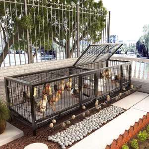 JUNHONG | Outdoor Chicken Coop with Auto Egg Collection