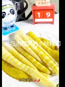 [TURTLE]Wei Long Konjac Vegetarian Hairy Belly/Pickled Pepper Bamboo 泡椒笋尖/盐津铺子麻酱魔芋素毛肚/卫龙魔芋爽香辣酸辣素毛肚