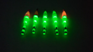 SAWA-D LUMINOUS SQUID JIG (1" / 1.5" / 2.0")