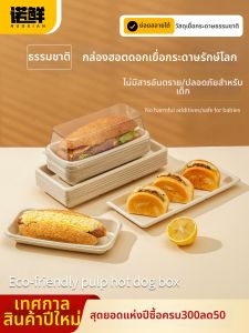 NUOXIAN | Disposable Paper Pulp Packaging Box