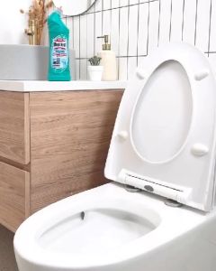 Magiclean Toilet Bleach Power 500ml