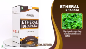 Obat Stroke Ampuh Atasi Kelumpuhan Kejang Epilepsi Kolesterol Darah Tinggi Etheral Bharata