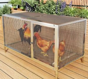 evesigar | Rainproof Automatic Cleaning Reinforced Small Chicken Cage
