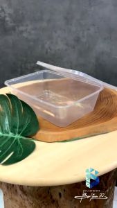 Thinwall R 650 ml Berlian: Kotak Makan Plastik Murah 10 Pack