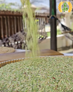 ข้าวกล้องหอมมะลิเขียวมรกต 5 กิโล ตรามีสุข (ระยะเม่า) มีแค่ปีละครั้งเท่านั้น ซีลสูญญากาศ 1 กิโล 5 ถุง