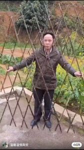 10pcs Plastic Fence: Enhance Your Courtyard & Garden Decor