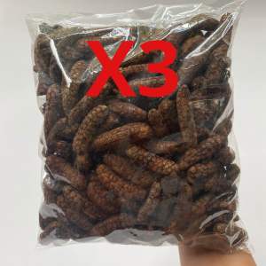Combo 3kg Chuối hột rừng sấy khô núi Chứa Chan (núi Gia Ray núi Gia Lào) loại 1 (quả đã chín sấy khô) hàng tự nhiên dùng để ngâm rượu