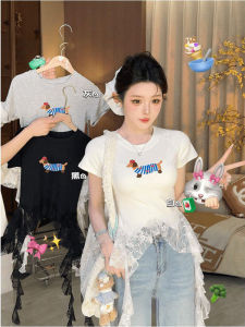 Gray Dog Short Sleeve T-Shirt Womens Summer Design Sense Lace Trim Irregular Hem Top Trendy Korean Style Slim Fit round Neck