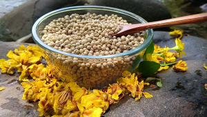 Biji Lada Putih Asli 100% Sarawak100% Pure Sarawak White Peppercorns