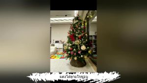 พร้อมส่ง ส่งเร็ว! ต้นคริสต์มาส ต้นไม้ประดับตกแต่ง แถมของตกแต่ง มี4ขนาด ต้นคริสมาสต์ ต้นคริสมาสใหญ่ ของแต่งคริสมาส ต้นคลิสมาส christmas tree