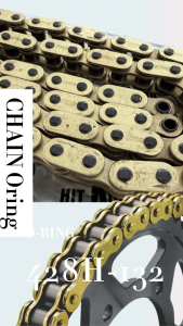 Universal O-Ring Chain Oil Seal Chain 428HO-132L