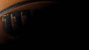WILSON Evo Nxt Fiba Game Ball Basketball (Size 7) - WTB0965XB