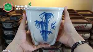 Pot Keramik Bonsai Bundar Tinggi Kaktus Sukulen