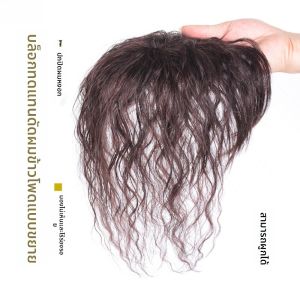 แผ่นผมสีธรรมชาติสำหรับผู้หญิง ปิดผมขาว สไตล์แฟชั่น เพิ่มปริมาณผม กระเทียม ทรงธรรมชาติ แผ่นผมส่วนบน แผ่นผมสีธรรมชาติ