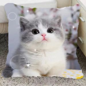 Gối Hình Mèo Dễ Thương Gối Sofa Phòng Khách Quà Tặng Sinh Nhật Cho Nam Và Nữ Đệm Tròn Mềm Mại Thoải Mái Hiện Đại Đa Năng
