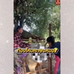 ขุนบำรุง ผสมติดง่าย เสริมสร้างภุมิคุ้มกัน ไคโตซานฟาสท์พลัส1ขวด+ไคโตซานฟาสท์2ขวด สัตว์แข็งแรง ไคโตซานสำหรับสัตว์ อาหารผสมสำหรับสัตว์