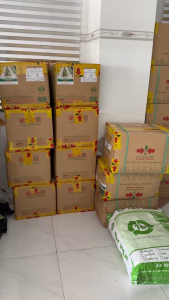 (Gói 1gr-5gr) Hạt Giống Đu Đủ F1 Hồng Phi (V0786) NÔNG HỮU - Cây kháng virus đốm vòng