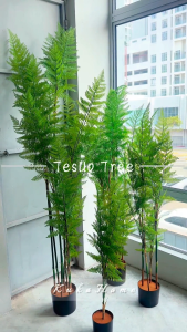Artificial Monkey Tail Fern Plant | Indoor Faux Greenery | Home Decoration | No-Watering Fake Tree | Tesllo Plant | Eco Friendly | Ready Stock