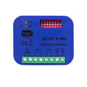 Universal Frquency 300-868MHz Garage Remote Control Receiver 2CH Gate Control Tuya WiFi Switch 433MHz 868MHz Smart Relay