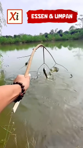 Umpan Mancing Lele – Cepat Strike di Air Tawar Praktis & Teruji Efektif