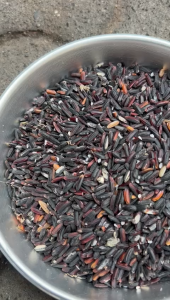 Beras Ketan Hitam Bersih Sub-Medium 1kg