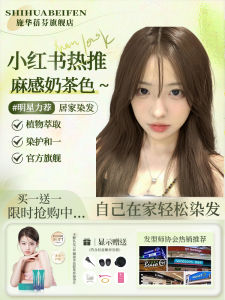 Natural Bubble Plant Hair Dye Milk Tea Color Pure Brand Home Application Long Lasting Hair Coloring Cosmetic Product