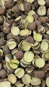 红莲子 200g Red Lotus Seed 开双莲 开边莲 Lian Zi