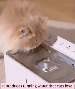 【🔥🔥SG SPOT】Wireless Pet Water Dispenser 5L Sensor Can Multi-cycle Live Water Filter Pet Automatic Water Dispenser Silent