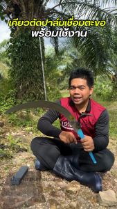 เคียวตัดปาล์มเชื่อมตะขอหลัง ดึงทะลาย เคียวตัดปาล์ม เคียวเชื่อมตะขอหลัง แข็งแรง ใช้งานง่าย พร้อมใช้งาน