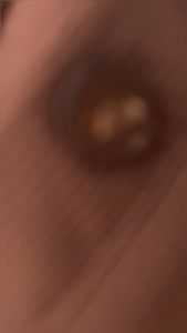 Kaos Crop Polo Knit Lengan Panjang Kerah V-Neck Atasan Longsleeve Fit Body Bahan Rib Knit