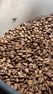 Magnetic Equator Blend Arabica Coffee Beans Freshly Roasted 100% Arabica Whole Bean 250g 500g 1kg Magnetic Specialty Coffee