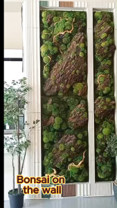 Invis Bonsai Art Decor I Real Bonsai (Preserve) I Bonsail Wall Art I Decorative Plants