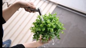 ชุดหัวฉีดชำระในห้องน้ำ สายฉีดชำระ สแตนเลส ทนต่อการกัดกร่อน และป้องกันการเกิดสนิมได้เป็นอย่างดี หัวฉีดสุขภัณฑ์ หัวฉีดสุขภัณฑ์ ห้องน้ำ - Lazada