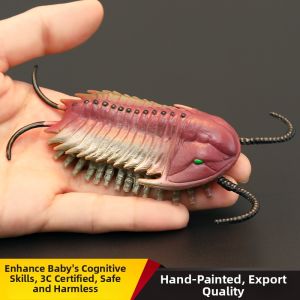 MENGSILE | Realistic Educational Toy Model Cambrian Trilobite