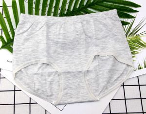 Classic Versatile Modal Seamless Pure Cotton Womens Ultra Elastic Triangle Underwear mid Waist plus Size Lively Source 676