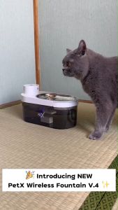 PET X Wireless Fountain V.4 น้ำพุสำหรับสัตว์เลี้ยงไร้สาย V.4