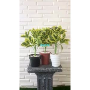 Tanaman Artificial Daun Beringin Dollar Kuning Variasi Pot Dasar Hitam Pot Ulir Putih Pot Yogaf Coklat Dekorasi Meja