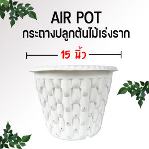 15 นิ้ว กระถางปลูกสายเขียว กระถางเร่งราก สีขาว/อิฐ/ดำ ขนาด 15 นิ้ว