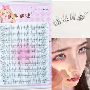 Fox-eye Fairy ขนตาปลอม 10 แถวเกาหลีธรรมชาติ Cluster Lashes Dramatic Volume Eyelash Extensions แต่งหน้า