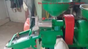 Máy xay lúa nghiền bột toàn phát lắp mô tơ 35kw tốc nhanh