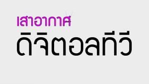 ยกลัง 20 แผง THAISAT แผงเสาอากาศ ดิจิตอลทีวี รุ่น TD-5E ประกอบสำเร็จ