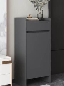 Modern Minimalist Large Capacity Ultra-Narrow Outdoor Entrance Elevator Mouth Home Use Shoe Cabinet Artistic Design Adjustable Shelves