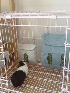 【Ready Stock】Rabbit Bunny Guinea Pig Feeder Hanging Bag【现货】兔子天竺鼠饲料挂式袋