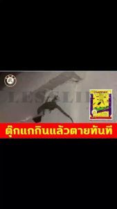 📣ซื้อ1แถม1📣ยาฆ่าตะขาบ กำจัดตะขาบ ไล่ตะขาบ ฆ่าแมลงสาบ ผงกำจัดตะขาบชนิดสัมผัสตาย ขนาด 100 กรัม เหมาะสำหรับครอบครัว ปลอดภัย