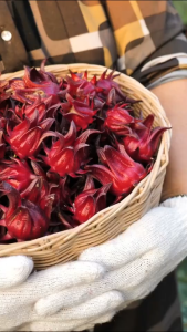 Hibiscus Flower Tea - 100% Natural Dried Roselle Buds for Weight Loss & Detox suitable for women