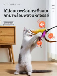 VOA | Interactive Cat Toy with Durable Feathers and Bell