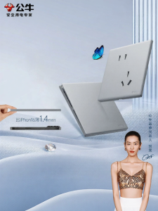 Bull | Ultra-thin Outlet Panel 86 Type 10A